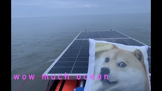 Live Ocean Camera - Self Driving Boat With Dog
