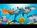 20 Fish Names for Kids 🐟 | Learn Fish Names & Sounds | Educational Video for Children