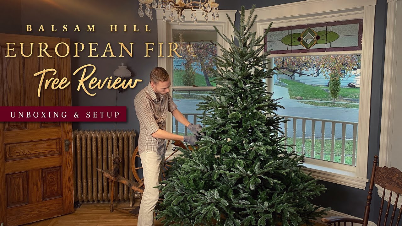 Balsam Hill European Fir Christmas Tree Review, Unboxing, & Setup