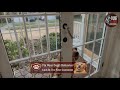 Fix Dog Separation Anxiety Stop Panic When You Grab Keys