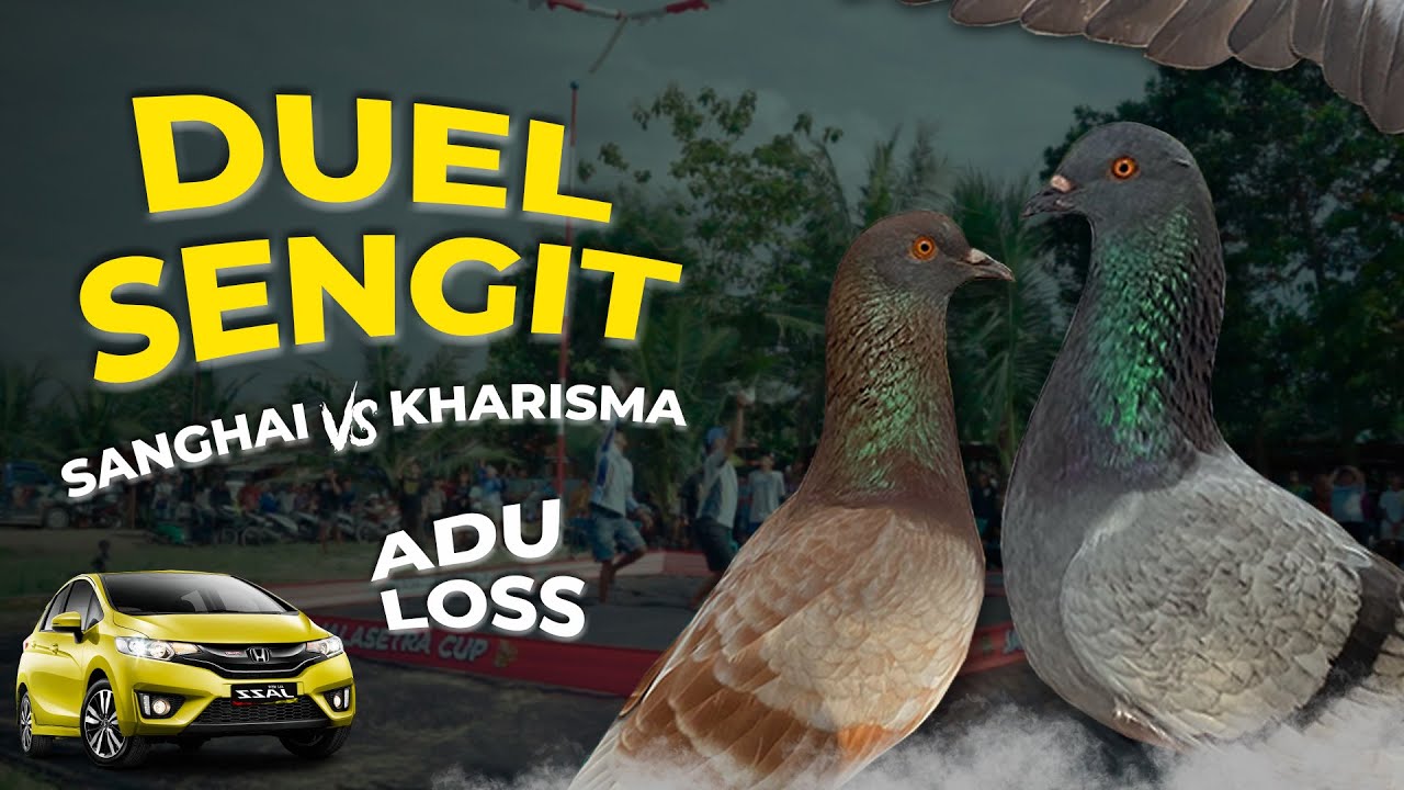 DUEL SENGIT!! FINAL EVENT 70JT JALASETRA CUP II LAPKOL WAY GALIH LAMPUNG