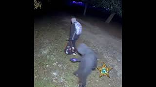 Suspects in St Joe Beach Vehicle Burglaries