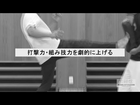 打撃の稽古会・秀徹（しゅうてつ）【技の威力を作る！】武術パワーを劇的に上げる訓練法　HOW TO DEVELOP THE POWER OF STRIKE BY SACRUM AND AXIS 2