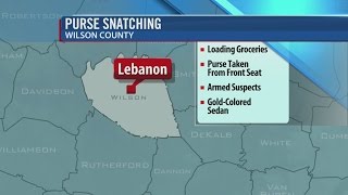 Thieves Snatch Woman's Purse In Parking Lot