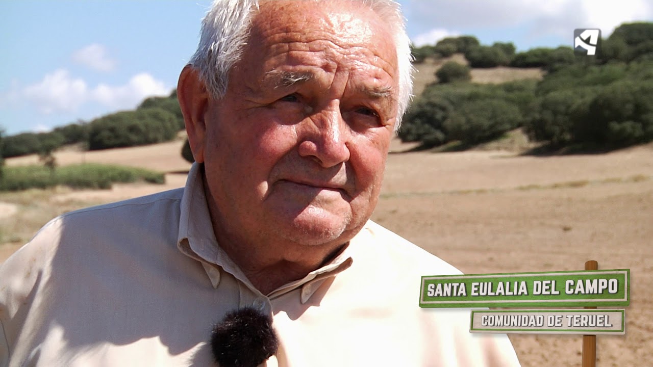 Santa Eulalia del Campo- Tradiciones - Menudo es mi pueblo