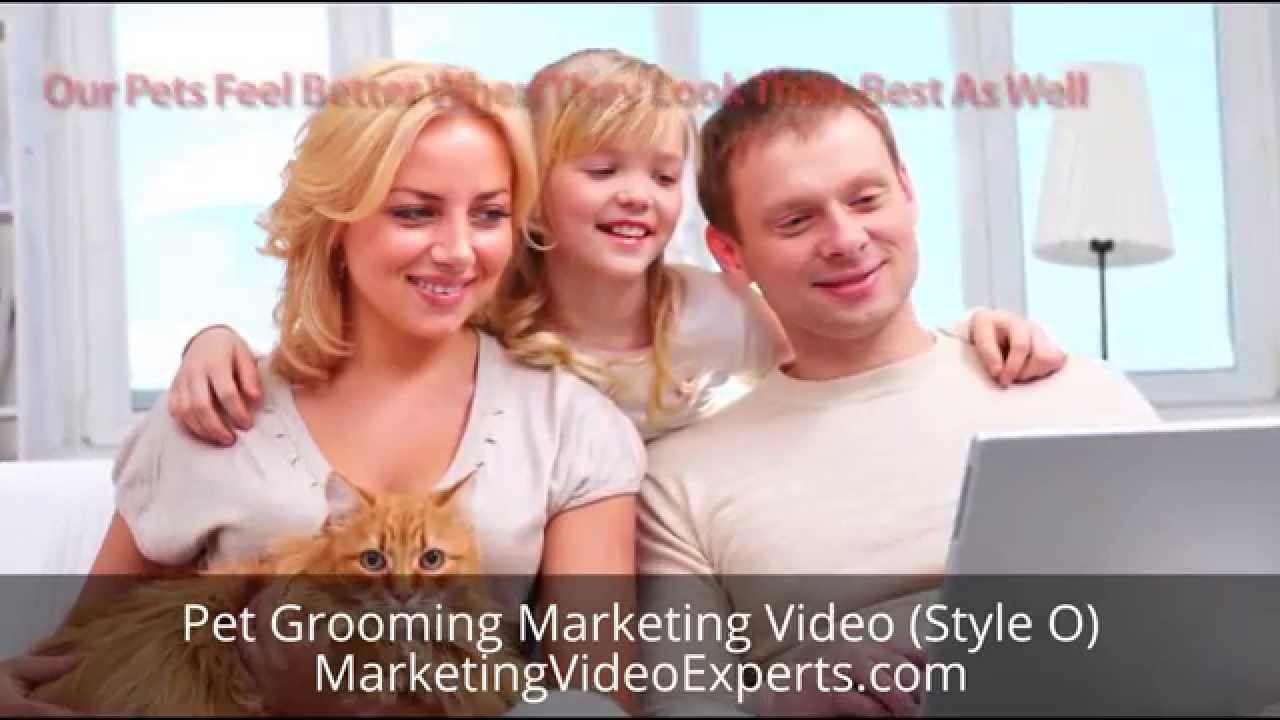 Pet Grooming Marketing Video (Style O) from Marketing Video Experts