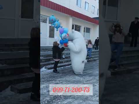 Белый мишка на