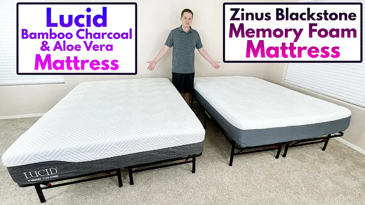 Lucid Bamboo Charcoal & Aloe Vera Hybrid vs Zinus Blackstone Memory Foam Mattresses!