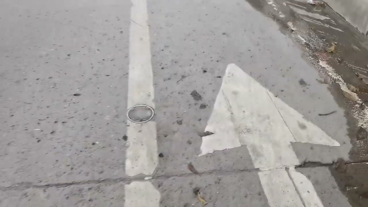 Slow Roam Through Streets