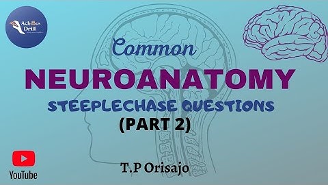 SAGITTAL VIEW of the Brain ||Common NEUROANATOMY STEEPLECHASE Questions (PART 2)