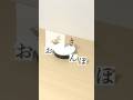 疲れてる時に見る動画 Part57 #shorts
