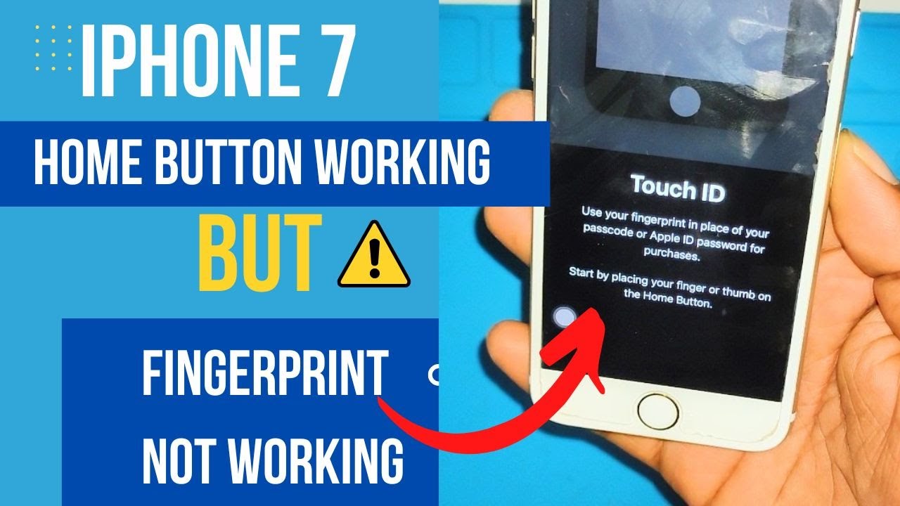 iphone-7-fingerprint-not-working-but-home-button-working-how-to