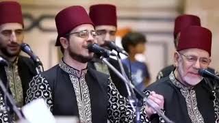 Bahebak wabaridak