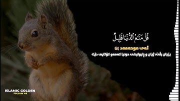 قل متاع الدونيا قليل والاخرة خير لمن تقي ولا تظلمون فتيلا..سورة النساء اية ٧٧-٧٨