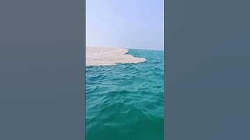 مرج البحرين يلتقيان .سورة الرحمن .الشيخ ياسر الدوسري