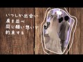 【MENSOLE TV】  リリックビデオ  【HD】