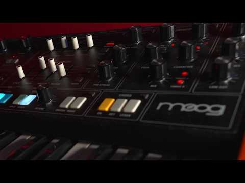 Just a Moog Muse  with a MPC: Is this the perfect combo for jamming?