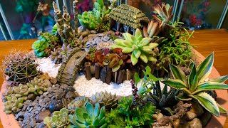 Old Cottage House Scene Succulent Arrangement