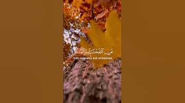 تلاوة عطرة من سورة العنكبوت للقارئ عبدالرحمن مسعود #quran #قرآن #تلاوة_خاشعة #اذكروا_الله_يذكركم #
