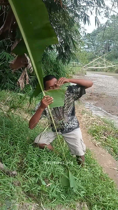 ketahuan ngintip janda di sungai | video lucu ngakak #shorts #videolucu #videongakak
