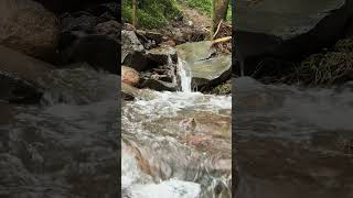 this is why people love waterfalls #nature #calming #shorts