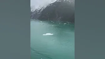 ICEBERGS on the FIRST Alaska cruise of 2024!