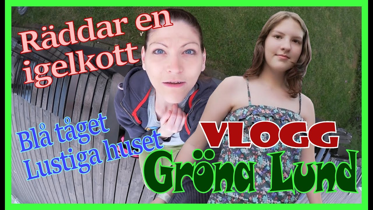 jewelsnissy VLOGG gröna lund blå tåget lustiga huset räddar en igelkott