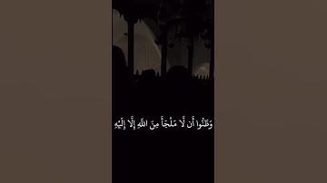 لو سمحت دقيقه من وقتك انسى هم الدنيا واستمع تؤجر 🥺❤️#قرآن #تلاوة_خاشعة