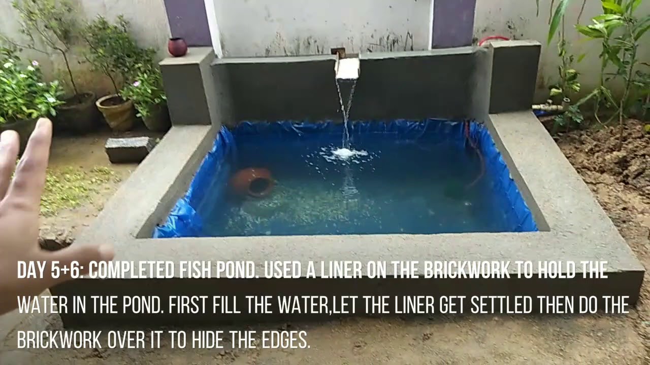 Fish Pond in India YouTube