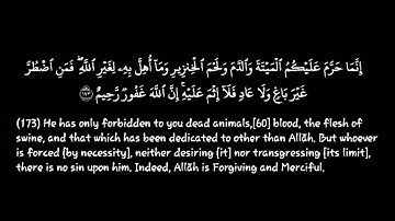 سورة البقرة |الآيات { 172-173}|القارئ : إسلام صبحي| قرآن خلفية سوداء | كروما