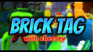 I PLAYED BRICK TAG WITH MOD CHEESEY AND DISCORD MEMBERS