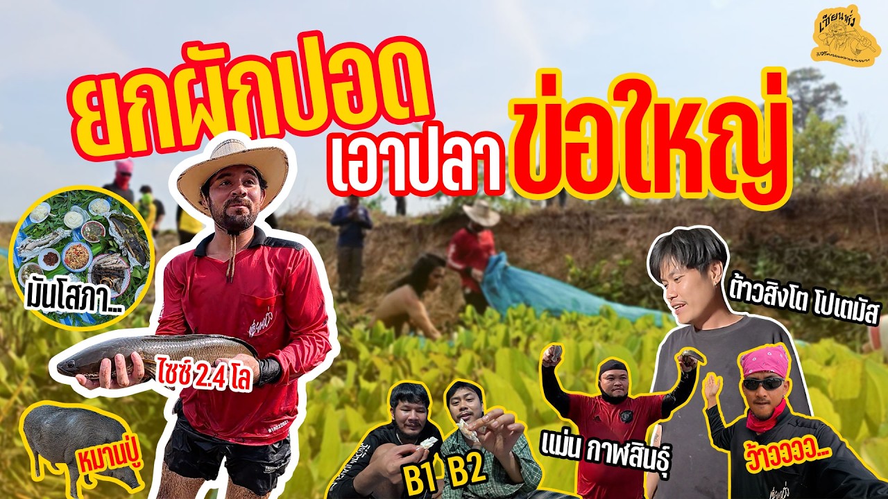 เซียนหรั่ง - วิถีชีวิตแบบมะลายยายอยาก l ตอน ยกผักปอด เอาปลาข่อใหญ่