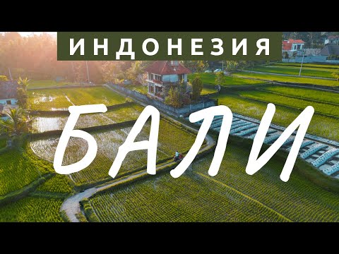 Video: Искусство галереялары & Убуддагы музейлер, Бали