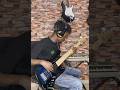 Charlie Puth - BOY Bass Cover #charlieputh #basscover #bassguitar