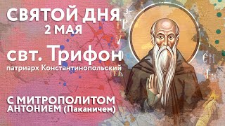 Святой дня. 2 мая. Святитель Трифон, патриарх Константинопольский.