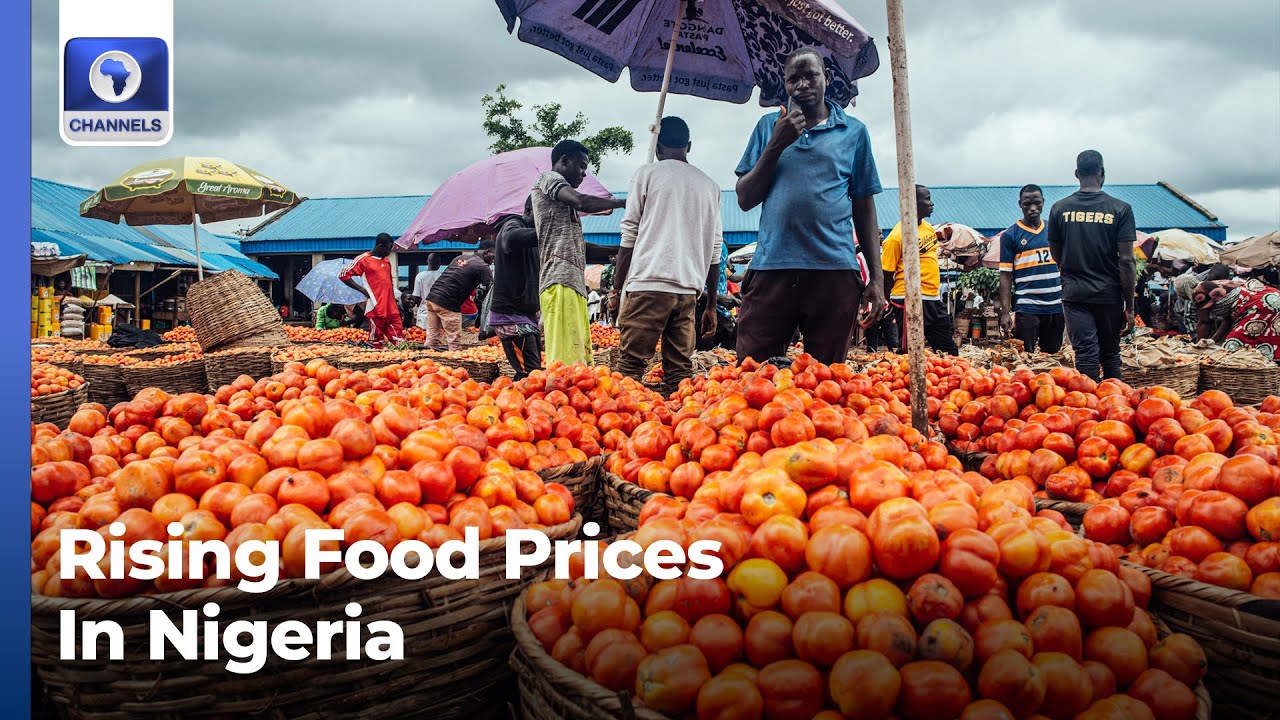 Action To Curb Surging Food Costs In Nigeria