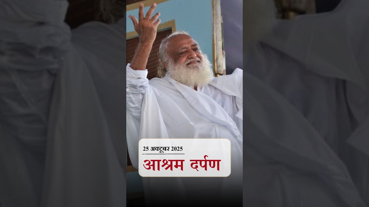 25 October 2025 News Letter | 