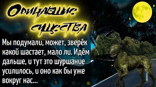 Одичавшие существа _ Страшные истории. Жизненные истории. Аудио рассказы
