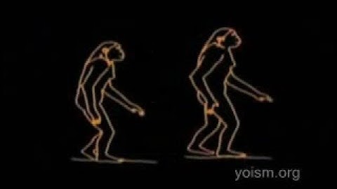 Carl Sagan On Evolution