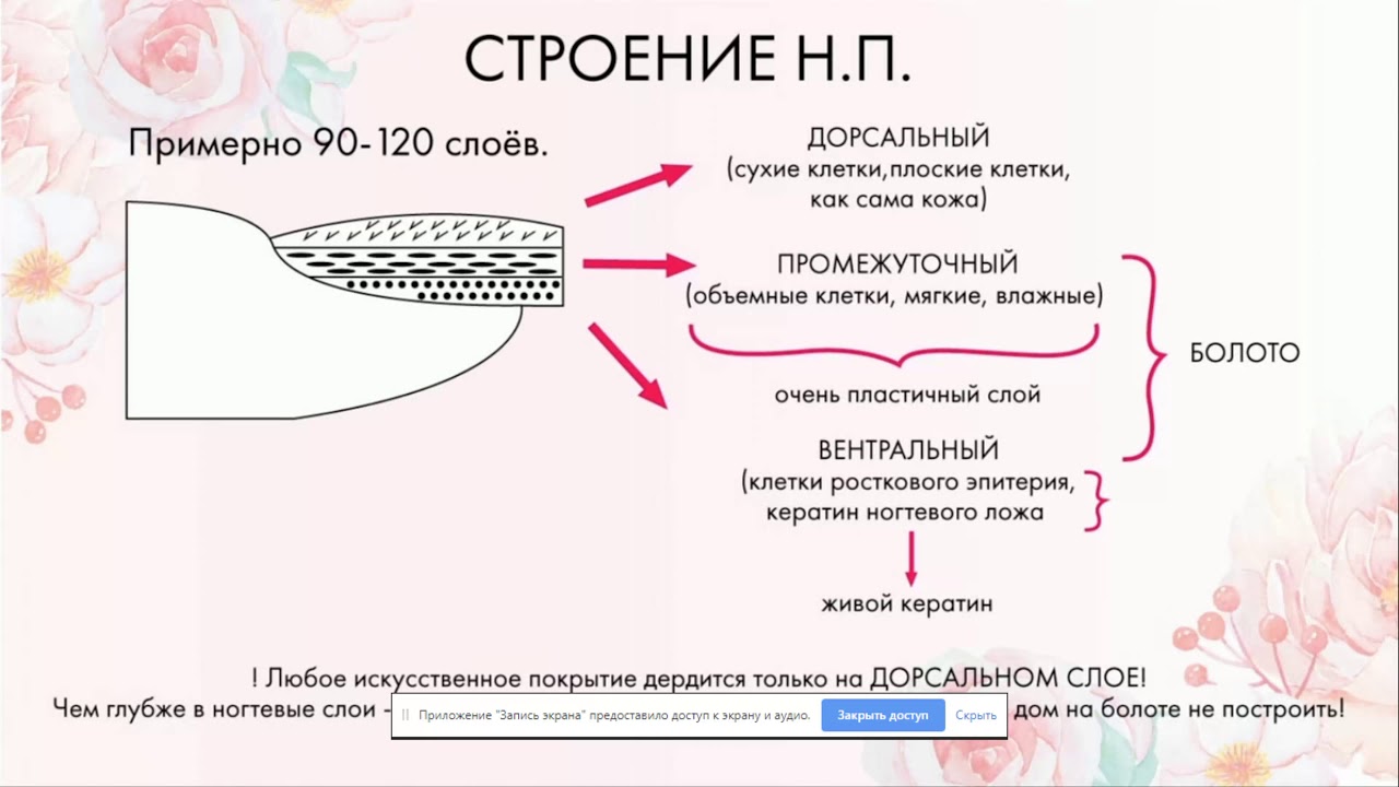 Из трех слоев верхний