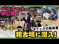 【第6回 #フックの船長室】ピーター・パン稽古場に潜入!パルクール初公開!