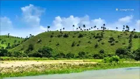 ويل لكل همزة لمزة تلاوة عذبة مؤثرة