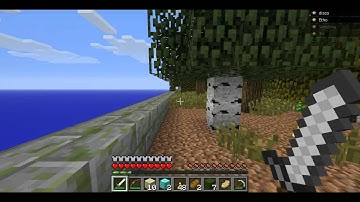 Race for the Wool Practice Match: Redstoners vs Cubists