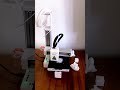 EasyThreed K10 — напечатал геометрического кота 🐱 #3DPrinting #EasyThreedK10 #3DPrinter