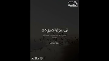 ﴿أَلا يَعلَمُ مَن خَلَقَ وَهُوَ اللَّطيفُ الخَبيرُ﴾ | القارئ: راشد الحليبة