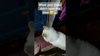 Waiting For The Sister