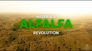 Matura Agro's Alfalfa Revolution  screenshot 2