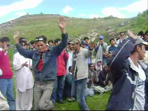 Deosai 2008 (SHARIF FAISAL YOUGVI)