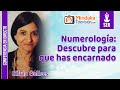 Numerología: Descubre para que has encarnado, por Silvia Gelices