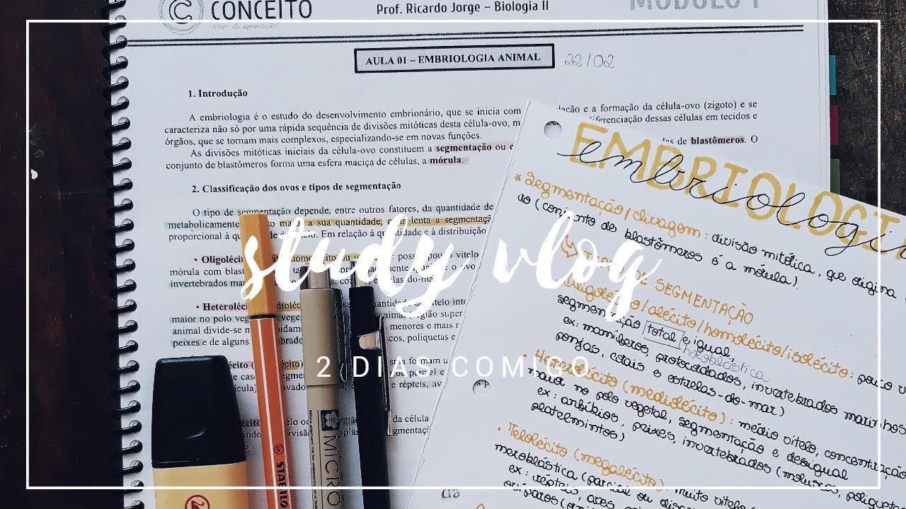 2 DIAS COMIGO | study vlog - YouTube